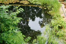 Lade das Bild in den Galerie-Viewer, nature pools
