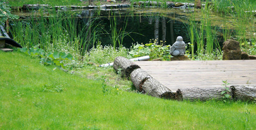 nature pools