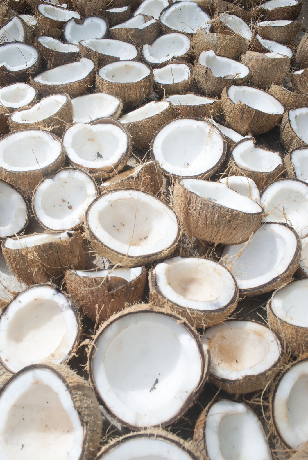 organic raw unrefined coconut oil
